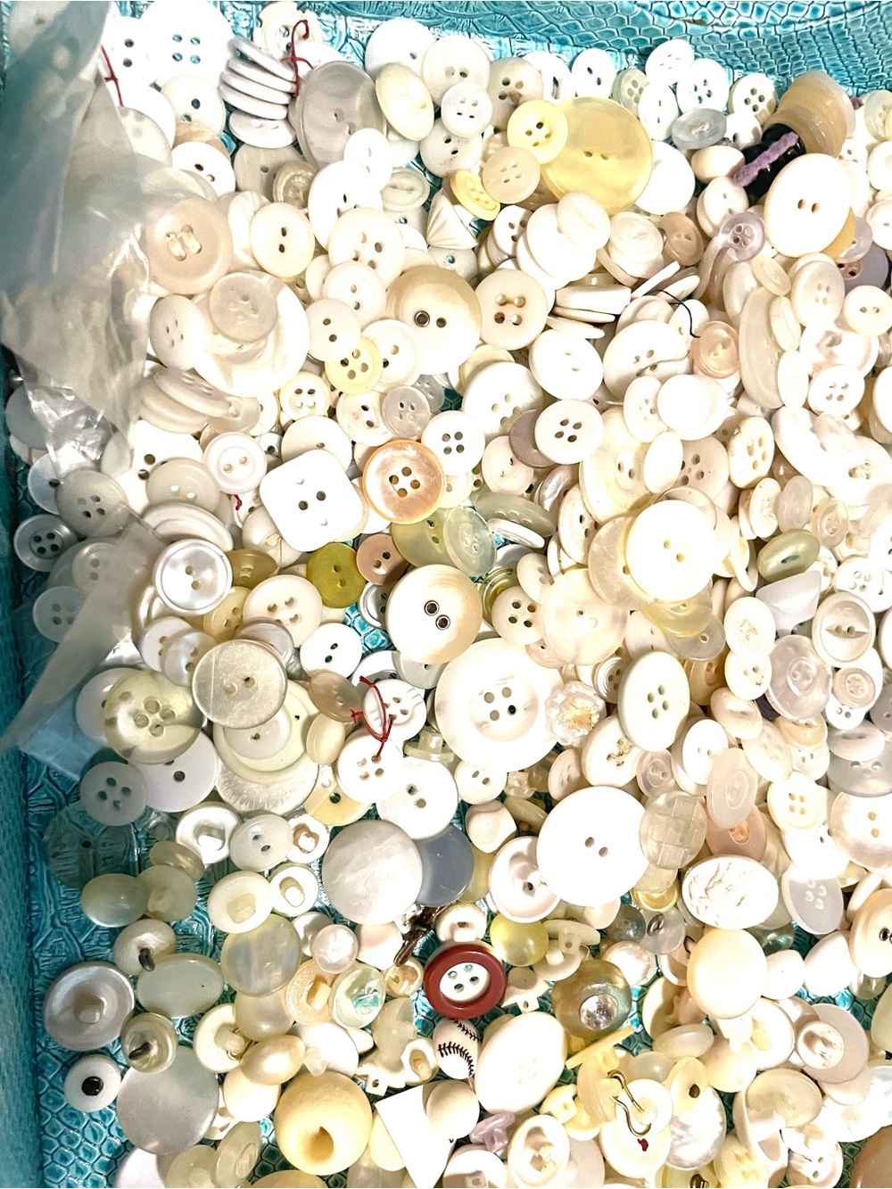Vintage 2# Lot of Old White Buttons b302